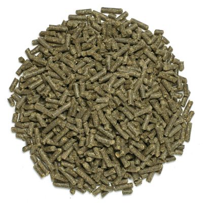 Image showing  SmartMuscle Mass Pellets for Horses, 10 lb. Bucket