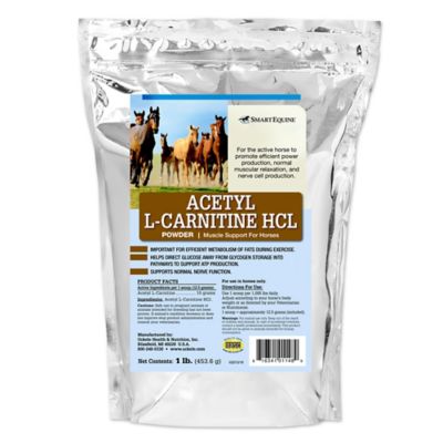 SmartEquine Acetyl L-Carnitine Powder for Horses, 1 lb. Bag
