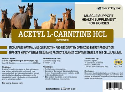 Image showing  Acetyl L-Carnitine Powder for Horses, 1 lb. Bag