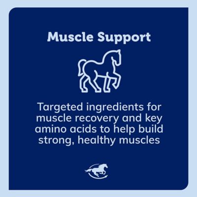 Image showing  Acetyl L-Carnitine Powder for Horses, 1 lb. Bag