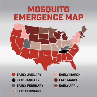 Image showing 7 th Ortho Home Defense Mosquito Kill & Prevent Refill Kit