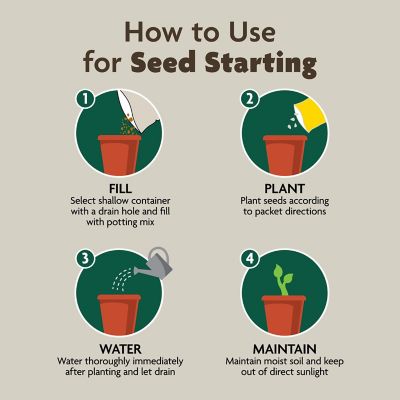 Image showing 6 th Miracle-Gro Organic Indoor Potting Mix