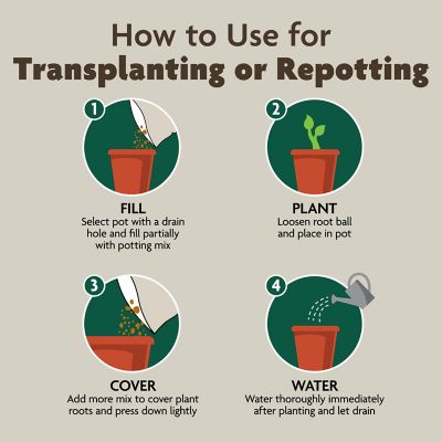 Image showing 7 th Miracle-Gro Organic Indoor Potting Mix
