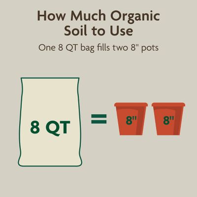 Image showing 8 th Miracle-Gro Organic Indoor Potting Mix