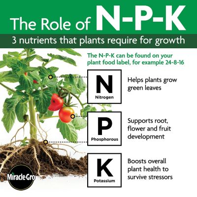 Image showing 8 th Miracle-Gro Organic Plant Food Granules