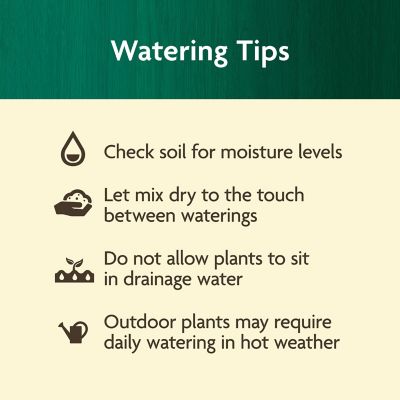 Image showing 9 th Miracle-Gro Organic Planting Tablets