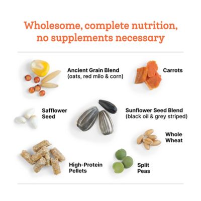 Image showing  Farm to Flock 18% Layer Hen Food