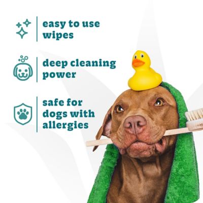 Image showing  Hypo Allergenic Wipes, 50 ct.