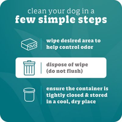 Image showing 5 th Espree Hypo Allergenic Wipes, 50 ct.