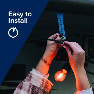 Image showing  Light Holders