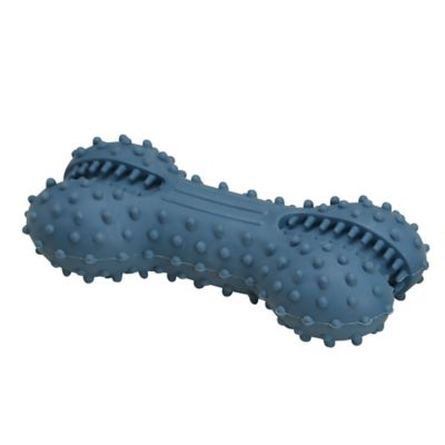 Image showing  Rubber Dental Dog Chew Toy, Assorted