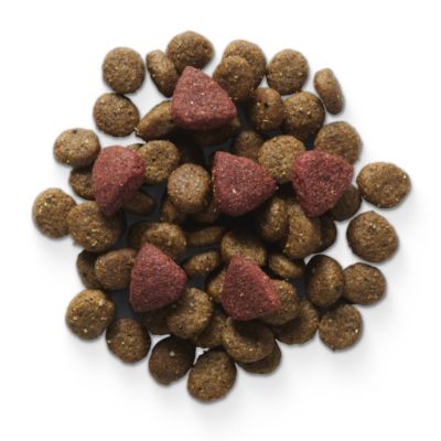 Image showing 3 th Field & Stream Pack Provisions Chicken Meal and Vegetable Recipe Dry Dog Food