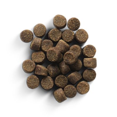 Image showing  Pack Provisions Beef Training Dog Treats