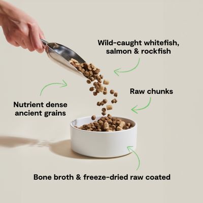 Image showing  RawMix Wild Ocean Ancient Grain Kibble For Dogs