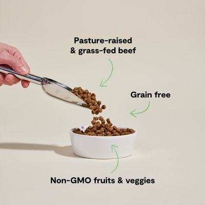 Image showing  Grass-Fed Beef Grain-Free Kibble For Dogs