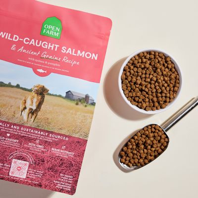 Image showing  Wild-Caught Salmon & Ancient Grains Kibble For Dogs