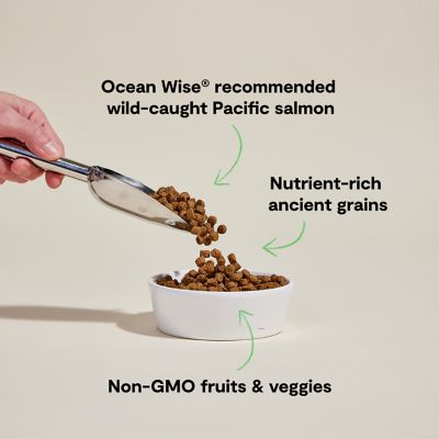 Image showing  Wild-Caught Salmon & Ancient Grains Kibble For Dogs