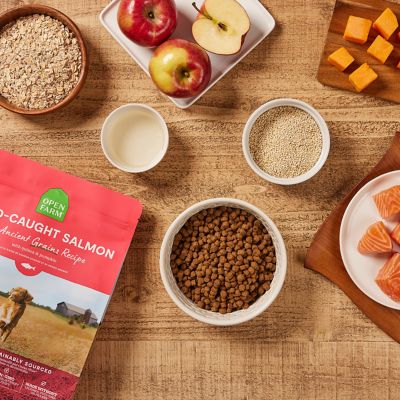 Image showing  Wild-Caught Salmon & Ancient Grains Kibble For Dogs