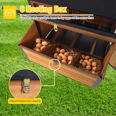 Image showing  Metal Frame Chicken Coop, Wooden Outdoor Large Hen House for 4-6 Chickens