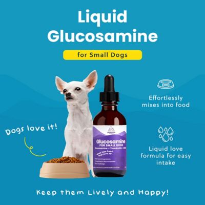 Image showing  Small Dog Liquid Glucosamine 2 oz.
