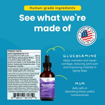 Image showing  Small Dog Liquid Glucosamine 2 oz.