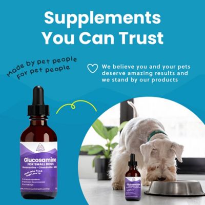 Image showing  Small Dog Liquid Glucosamine 2 oz.