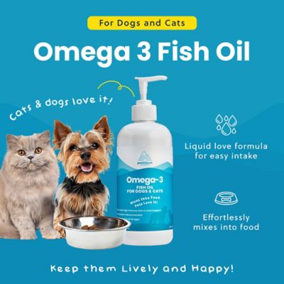 Image showing  Omega 3 Oil, OMEGA16