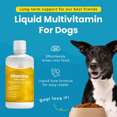 Image showing  Vitamins for Dogs 32 oz.