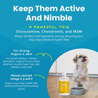 Image showing 6 th Paramount Pet Health Vitamins for Dogs 32 oz.