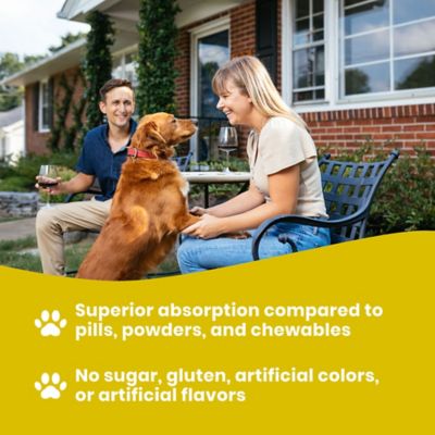 Image showing 7 th Paramount Pet Health Vitamins for Dogs 32 oz.