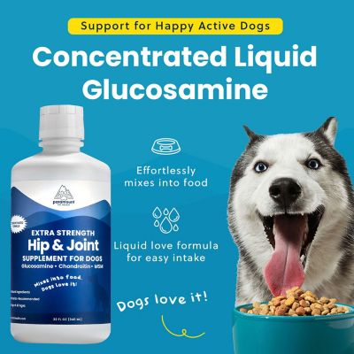 Image showing  Large Dog Liquid Hip & Joint 32 oz.