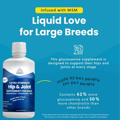 Image showing  Large Dog Liquid Hip & Joint 32 oz.