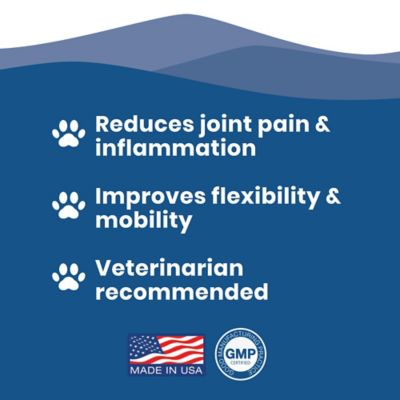 Image showing 7 th Paramount Pet Health Large Dog Liquid Hip & Joint 32 oz.