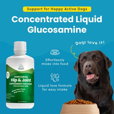 Image showing  Dog Liquid Vegetarian Hip & Joint 16 oz.