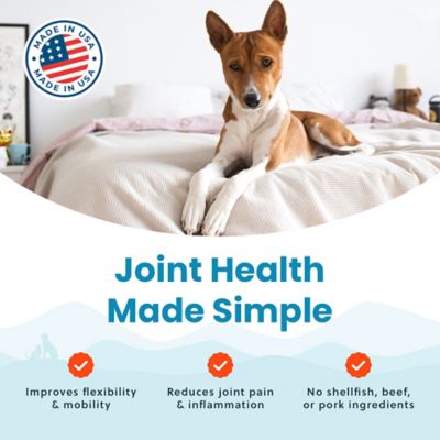 Image showing  Dog Liquid Vegetarian Hip & Joint 32 oz.
