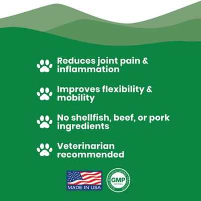 Image showing 8 th Paramount Pet Health Dog Liquid Vegetarian Hip & Joint 32 oz.
