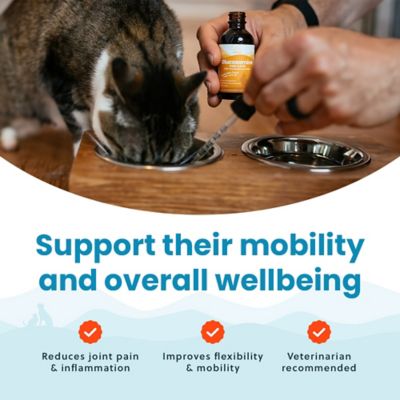 Image showing  Glucosamine Cat Supplement 2 oz.