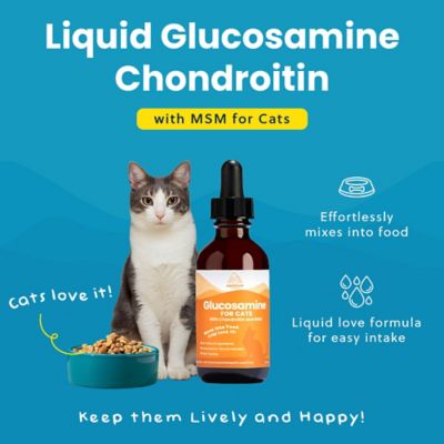 Image showing  Glucosamine Cat Supplement 2 oz.