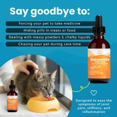 Image showing 5 th Paramount Pet Health Glucosamine Cat Supplement 2 oz.