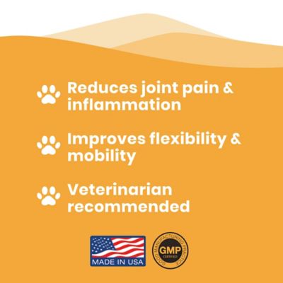 Image showing 7 th Paramount Pet Health Glucosamine Cat Supplement 2 oz.