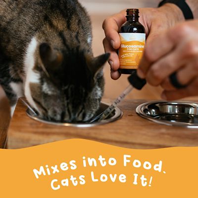 Image showing 8 th Paramount Pet Health Glucosamine Cat Supplement 2 oz.