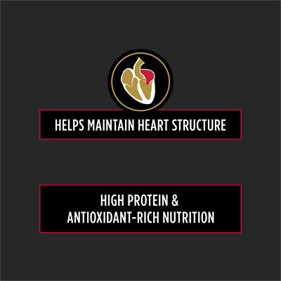 Image showing  Veterinary Diets CC CardioCare Adult Dry Dog Food