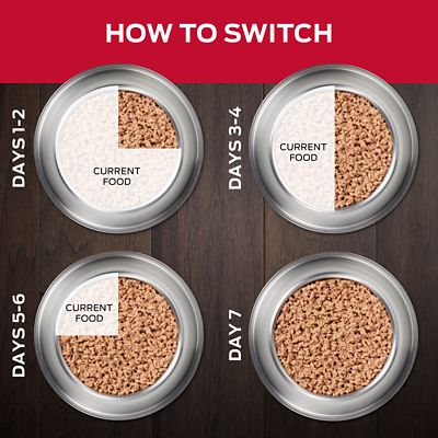 Image showing  Veterinary Diets CC CardioCare Adult Wet Dog Food, 13.4 oz., Pack of 12 Cans