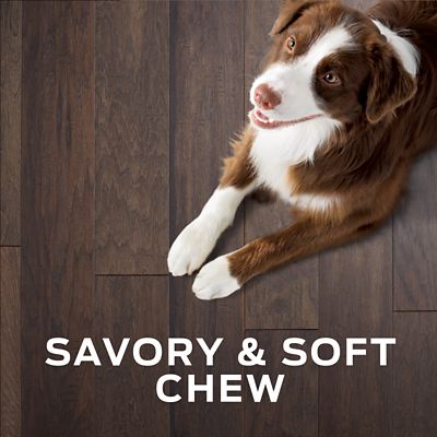 Image showing  Veterinary Diets Digestive Health Bites Dog Chew Treats, 16 oz.