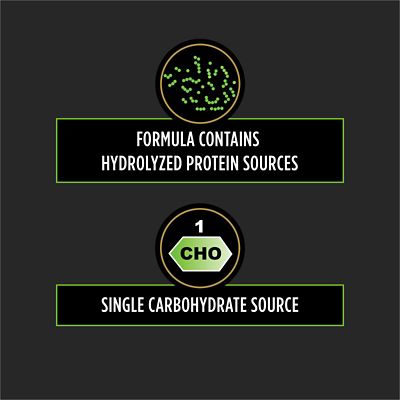 Image showing  Veterinary Diets HA Hydrolyzed Adult Salmon Recipe Dry Dog Food