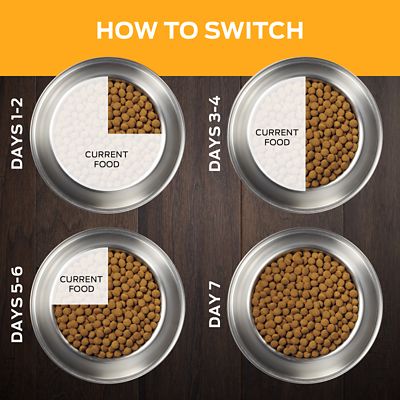 Image showing  Veterinary Diets JM Joint Mobility Adult Dry Dog Food, 6 lb. Bag