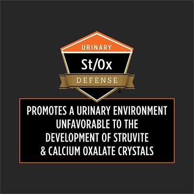 Image showing  Veterinary Diets OM Overweight Management Savory Selects Salmon in Gravy Wet Cat Food, 5.5 oz., Pack of 24 Cans