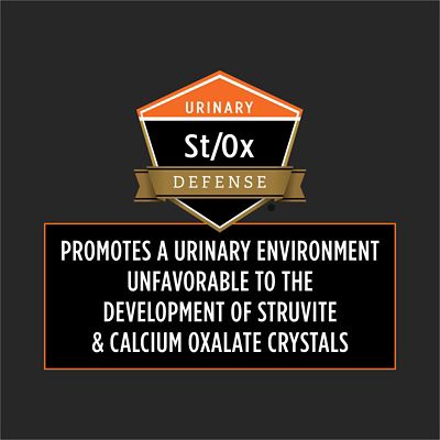 Image showing  Veterinary Diets OM Overweight Management Savory Selects Salmon in Gravy Wet Cat Food, 5.5 oz., Pack of 24 Cans