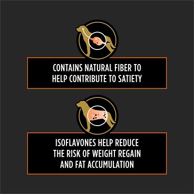 Image showing  Veterinary Diets OM Overweight Management Adult Select Blend Formula Dry Dog Food, 6 lb. Bag