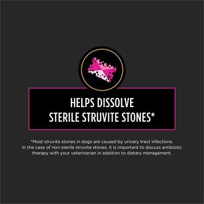 Image showing  Veterinary Diets UR Urinary Ox/St Savory Selects Adult Chicken/Salmon Wet Dog Food, 13.3 oz., Pack of 12 Cans